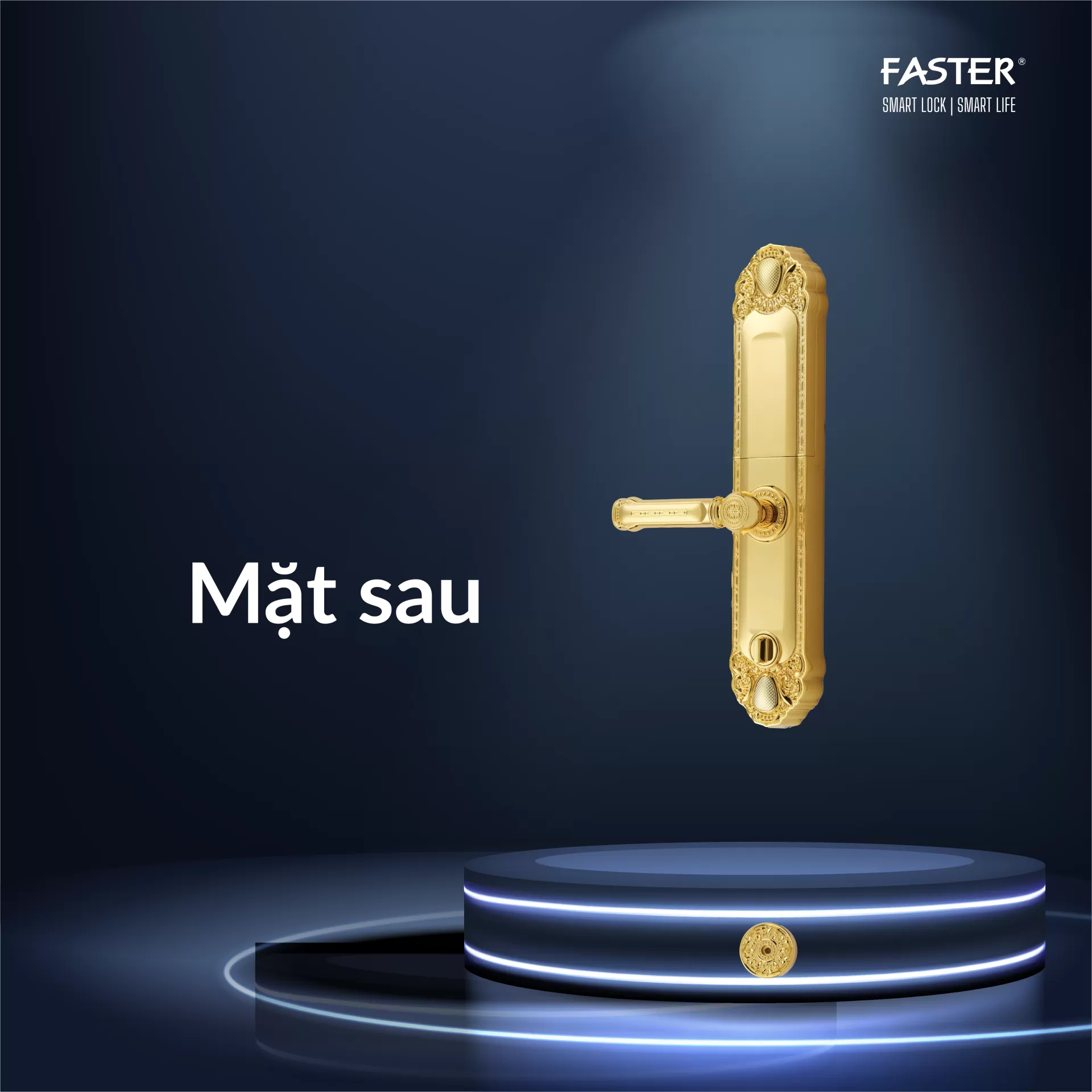 Khóa cửa đại sảnh FS039 24K
