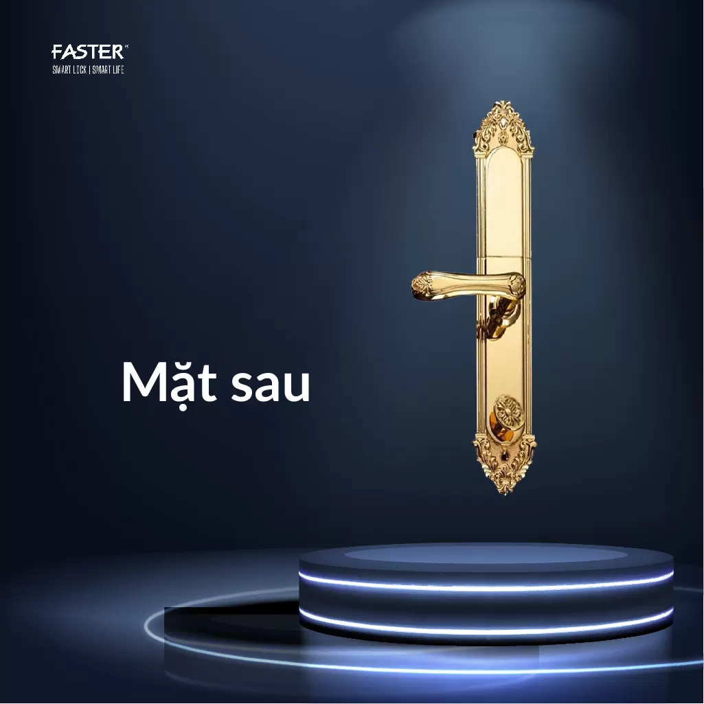 Khóa cửa đại sảnh FS019 24K