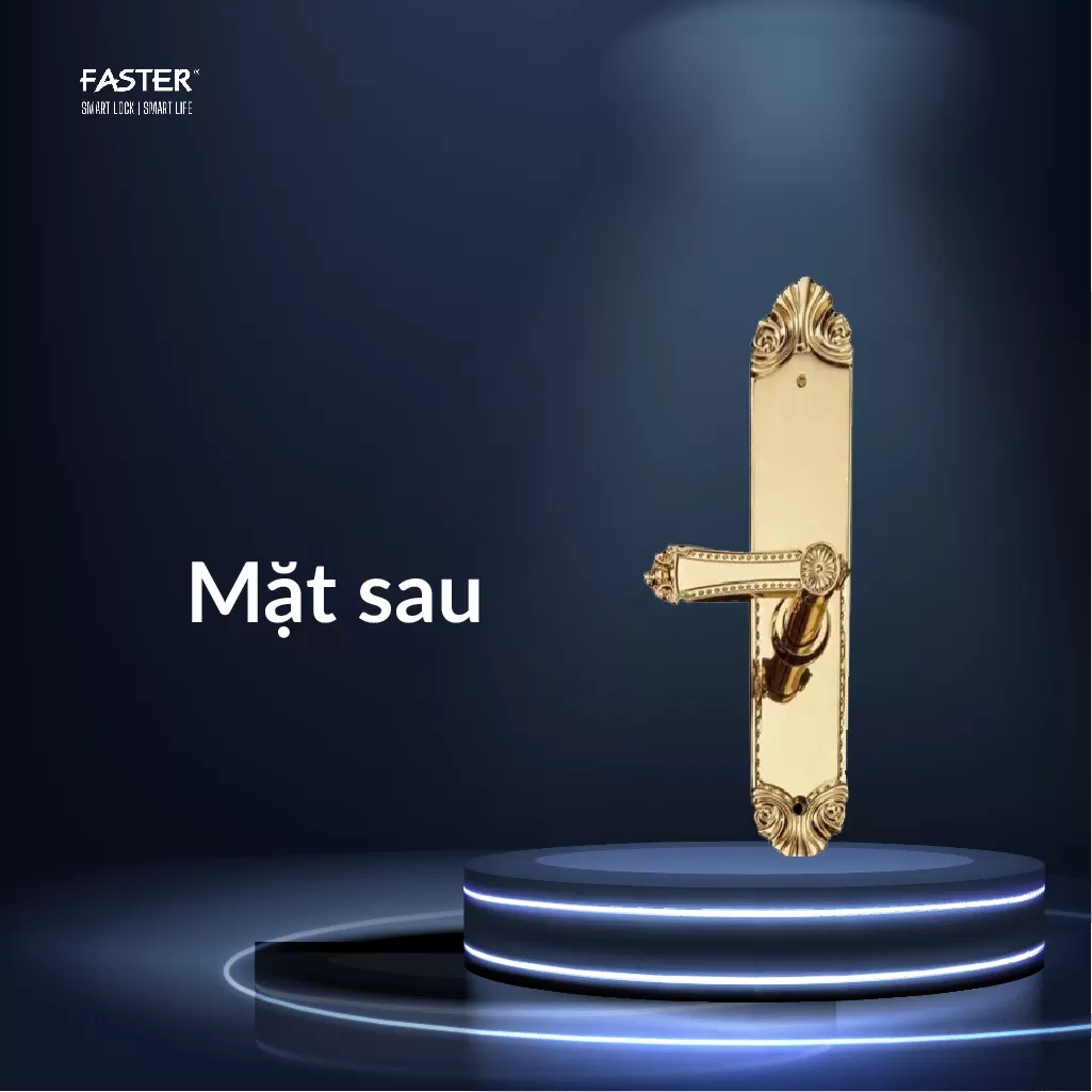 Khóa cửa đại sảnh FS119 24K