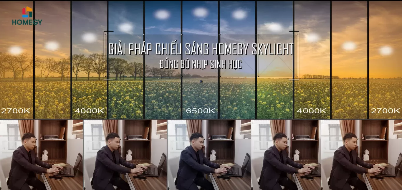 Giải pháp chiếu sáng dưỡng sinh Homegy Skylight